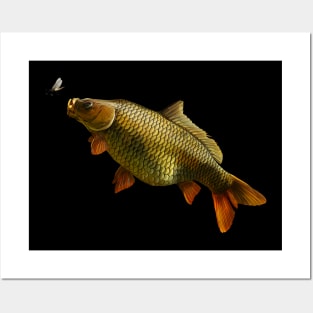 Carp Posters and Art